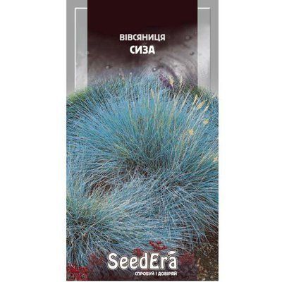 Насіння квітів Вівсяниця Сиза багаторічна, 0,1 г( Seedera)