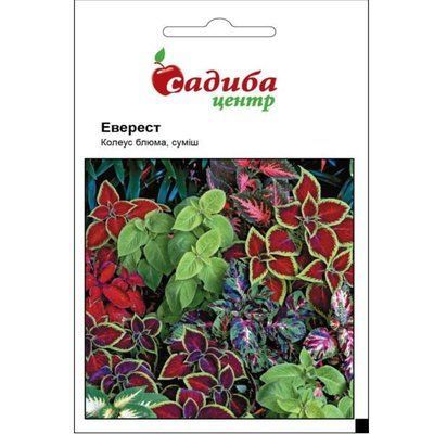 Насіння квітів Колеус блюма Еверест, суміш, 0,02 г (Садиба Центр)