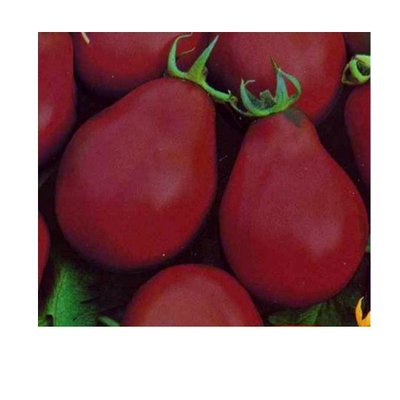 Насіння томату Трюфель чорний, 0,1 г(зіппер) 1516 фото