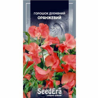 Насіння квітів Горошок духм'яний Оранжевий , 1 г(Seedera)