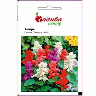 Сальвія Аморе, суміш 20 нас (Садиба Центр)