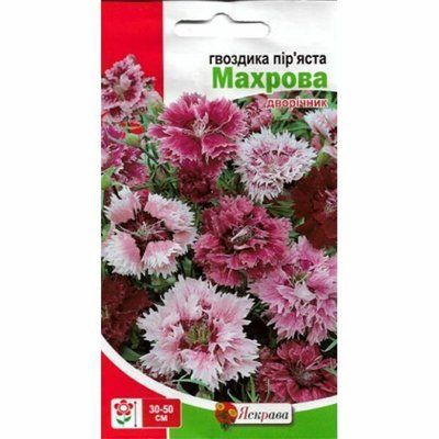 Гвоздика пір'яста Махрова 0,2 г (Яскрава)