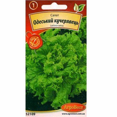 Насіння салату Одеський кучерявець, 10 г (АгроВест)