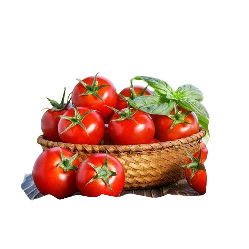 Насіння томату KS 2910 F1, 10 нас (зіппер)KITANO SEEDS 4821000039236 фото