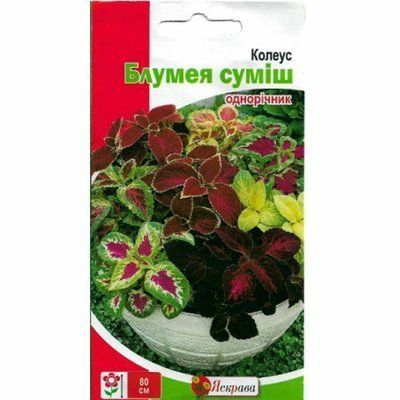 Насіння квітів Колеус Блумея (суміш), 0,1 г (Яскрава)