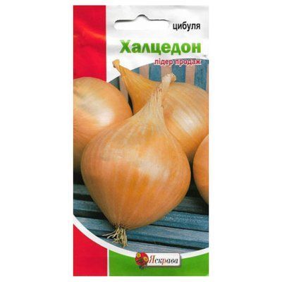 Насіння цибулі ріпчастої Халцедон, 1 г (Яскрава)