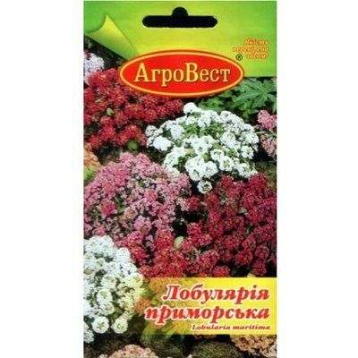 Квіти Лобулярія приморська 0,3 г (АгроВест)