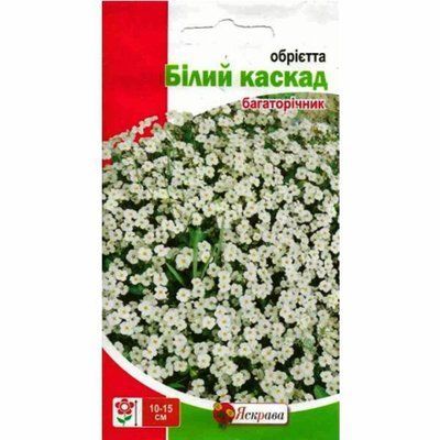 Насіння квітів Обрієта Білий каскад 0,1 г (Яскрава)