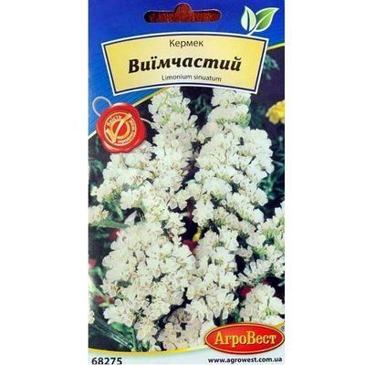 Насіння квітів Кермек виїмчастий білий , 0,2 г (АгроВест)