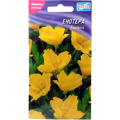Насіння квітів Енотера , 20 нас (Геліос)