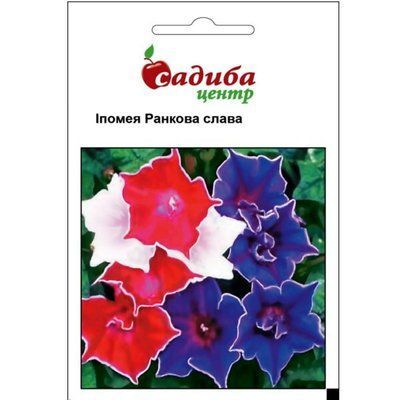 Насіння квітів Іпомея Ранкова Слава , 0,3 г (Садиба Центр)