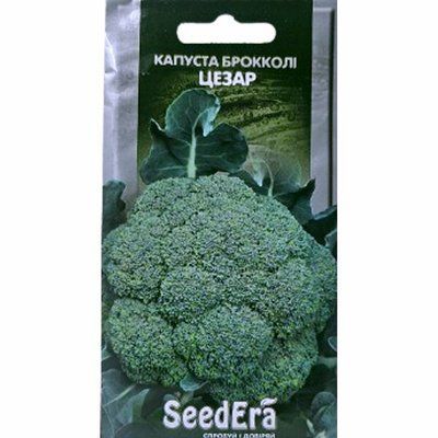 Насіння капусти броколі Цезар, 0,3 г (SeedEra)