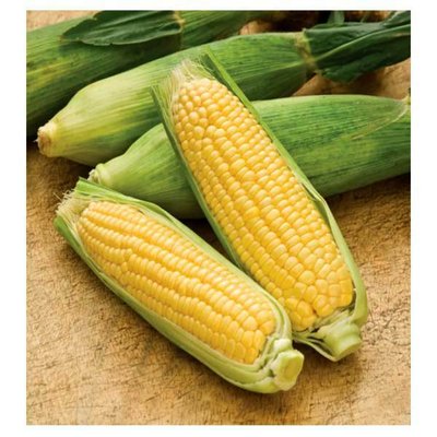 Насіння кукурудзи цукрової Міраж 5 г (зіппер) 4821000031094 фото