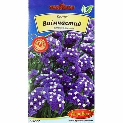 Квіти Кермек виїмчастий блакитний ,0,2 г (АгроВест)