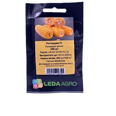 Насіння кукурудзи Роттердам F!, 100 нас(LEDAAGRO)