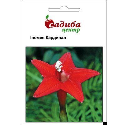 Насіння квітів іпомея Кардинал ,0,5 г (Садиба Центр)