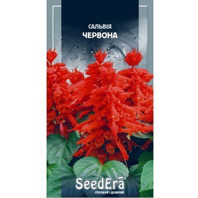 Сальвія блискуча червона Seedera, 0,1 г
