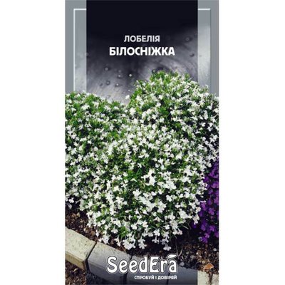 Насіння квітів Лобелія Білосніжка , 0,1 г(Seedera) 4823073724484 фото
