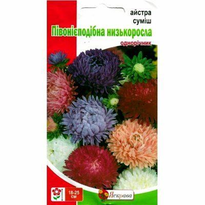 Айстра півонієподібна низька суміш 0,3 г (Яскрава)