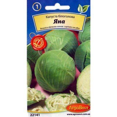 Насіння капусти білоголової Яна, 5 г (АгроВест)