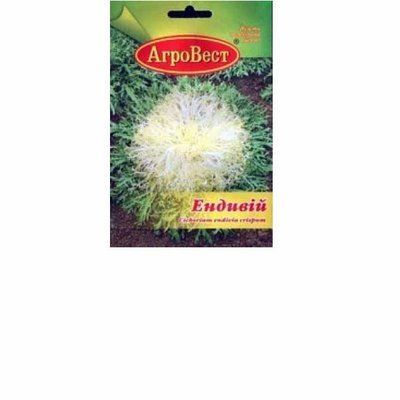 Насіння салату Ендивій, 5 г (АгроВест)