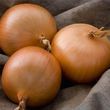 Цибуля саджанка озима Болеро 0,5 кг