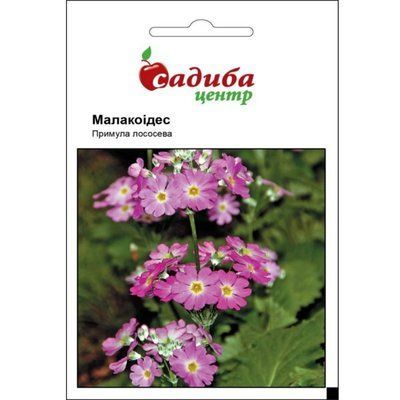 Примула Малакоідес, лососева 0,01 г (Садиба Центр)
