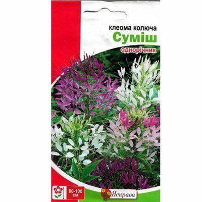 Насіння квітів Клеома суміш 0,2 г (Яскрава)