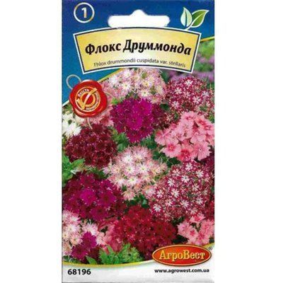 Квіти Флокс Друмонда 0,2 г (АгроВест)