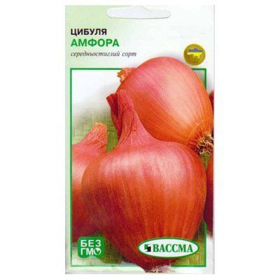 Насіння цибулі ріпчастої Амфора, 1 г( Вассма)