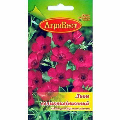 Насіння квітів Льон великоквітковий, 1 г (АгроВест)