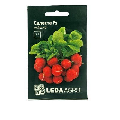 Насіння редиски Селеста F!, 2 г(LEDAAGRO)