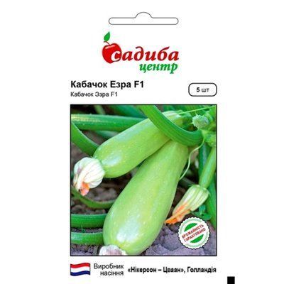 Насіння кабачка Езра F1, 5 нас (Садиба Центр)