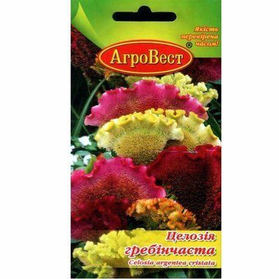 Квіти Целозія гребінчаста 0,3 г (АгроВест)