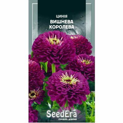 Насіння квітів Цинія високоросла елегантна Вишнева Королева 0,5 г (Seedera)