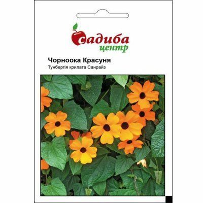 Тунбергія Чорноока красуня 0,1 г (Садиба Центр)