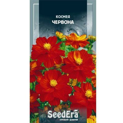 Насіння квітів Космея червона Seedera, 0,5 г