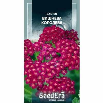 Насіння квітів Ахілея Вишнева королева, 0,1 г (Seedera)