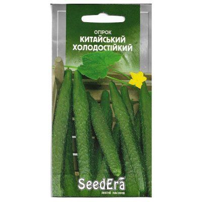 Насіння огірка Китайський холодостійкий, 10 нас ( Seedеra)