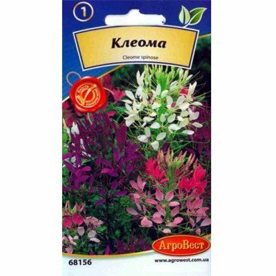Квіти Клеома 0,5 г (АгроВест)