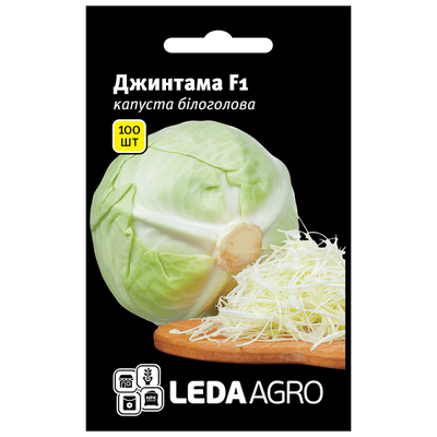 Насіння капусти білоголової Джинтама F1, 100 шт (Leda Agro)