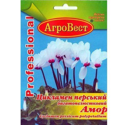 Квіти Цикламен перський Амор 5 шт (АгроВест)