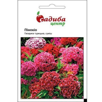 Насіння квітів Гвоздика турецька Пінокіо, суміш , 0,2 (Садиба Центр)