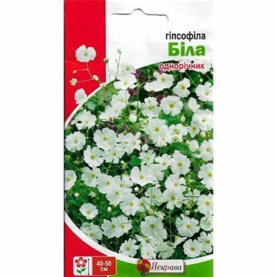 Гіпсофіла біла 2 г (Яскрава)