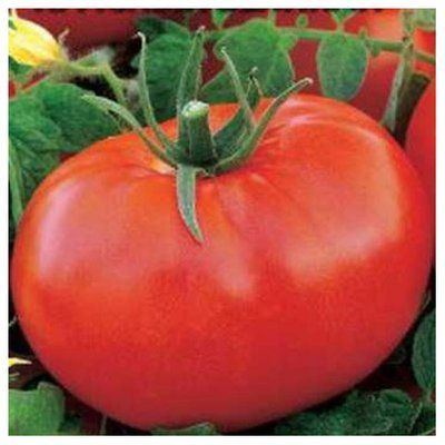 Насіння томату Рожева перлина, 0,1 г(GL Seeds)