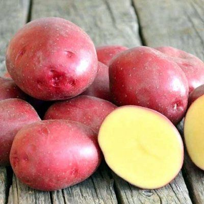 Насіннева картопля Червона Рута, кг