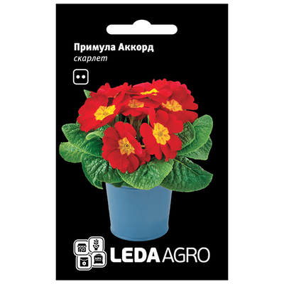 Насіння квітів Примула Акорд (скарлет), 10 шт (Leda Agro)
