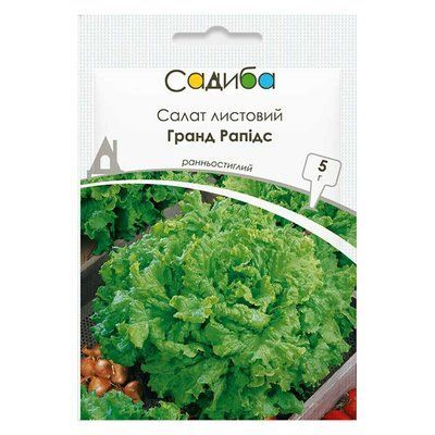 Насіння салату листового Гранд Рапідс, 5 г (Садиба)