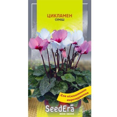 Насіння квітів Цикламен персидский суміш багаторічний Seedera, 5 шт