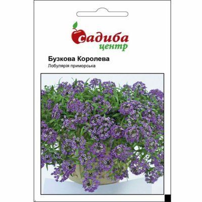 Лобулярія приморська Бузкова Королева 0,1 г. (СадибаЦентр)